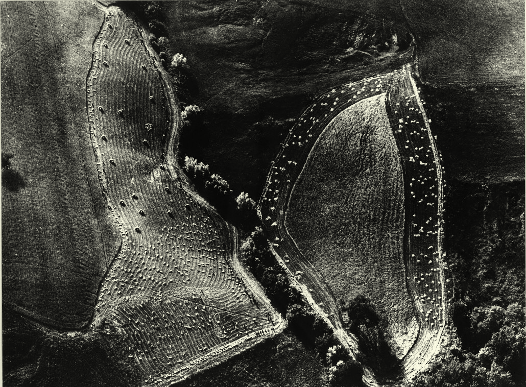 1. Mario Giacomelli, Paesaggio (1979), da Storie di terra, Stampa alla gelatina bromuro d'argento, 39,5 x 30 cm (scansionata colore)