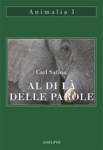 consigli libri 6