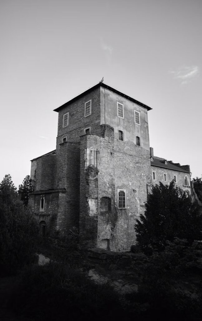 Cinema - La Balena Bianca